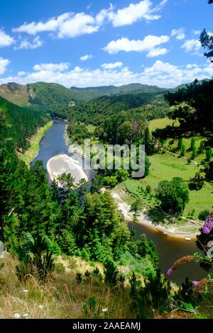 Il fiume Whanganui vicino all'entrata Whanganui National Park, vicino Whanganui, Isola del nord, Nuova Zelanda Foto Stock