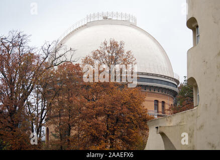 Potsdam, Germania. Xviii Nov, 2019. Torre Einstein (r), progettato da Erich Mendelsohn, e la cupola del grande rifrattore dell'Istituto di Astrofisica tra autunnale di alberi frondosi in Albert Einstein Science Park. Il parco fu creato a metà del XIX secolo con astronomico, meteorologiche e osservatori geoscientifica. L'architetto Paolo Spieker è stato il progettista del parco. Credito: Soeren Stache/dpa-Zentralbild/ZB/dpa/Alamy Live News Foto Stock