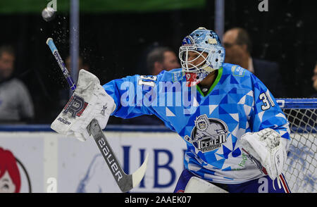 Jacksonville, STATI UNITI D'AMERICA. Xx Nov 2019. Il Jacksonville Icemen goaltender Michael McNiven (31) durante il warm-up prima di un ECHL professional hockey gioco contro il Indy carburante a Veterans Memorial Arena a Jacksonville, Florida, mercoledì, nov. 20, 2019. [Gary Lloyd McCullough/CSM] Credito: Cal Sport Media/Alamy Live News Foto Stock