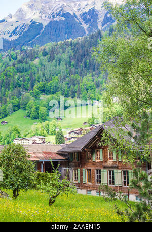 Lauterbrunnen. Alpi svizzere. Valle delle Cascate. Villaggio di montagna Foto Stock