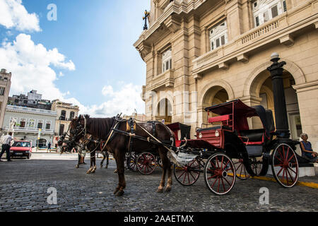 Carrozze trainate da cavalli in Manzana de Gómez square a l'Avana Foto Stock