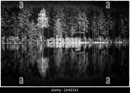 Vista del lago Kingari. In bianco e nero. Natura lettone. Bellissimo paesaggio. Foto Stock