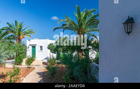 Bella vista del con palme in Hotel in Creta, Grecia Foto Stock