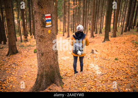 Cartello turistico o un marchio su albero accanto al percorso turistico con turista femminile in background. Bella scena d'autunno. Forrest trail. Foto Stock