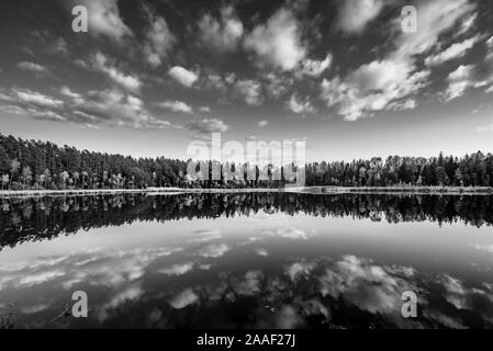 Vista del lago Kingari. In bianco e nero. Natura lettone. Bellissimo paesaggio. Foto Stock