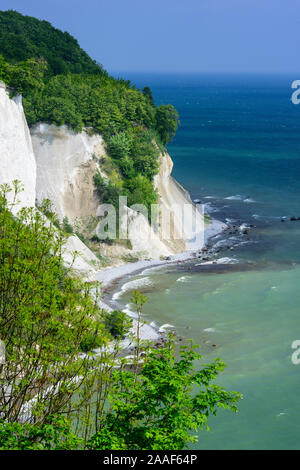 Kreidefelsen auf Ruegen, Meclenburgo-Pomerania Occidentale, Sassnitz, Foto Stock