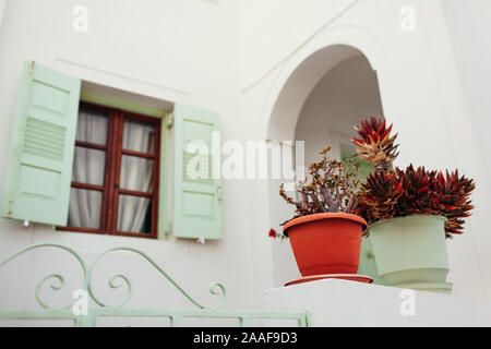 Architettura tradizionale nel villaggio di Akrotiri sull isola di Santorini, Grecia. Case bianche, persiane verdi. La cultura greca Foto Stock