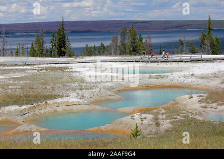 Una vista del lago e delle piscine di primavera nel Parco Nazionale di Yellowstone Foto Stock