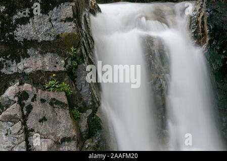 Primo piano di mais Creek Falls in Creston Valley, British Columbia, Canada Foto Stock