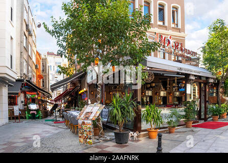 Un disperso calico tabby cat sorge nei pressi di un bar nel quartiere di Sultanahmet di Istanbul, Turchia. Foto Stock