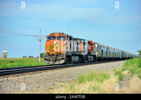 Sandwich, Illinois, Stati Uniti. Un treno merci Burlington Northern Santa Fe, guidato da due locomotive che attraversano la campagna agricola. Foto Stock