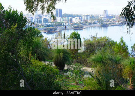 PERTH, AUSTRALIA -11 LUG 2019- vista sullo skyline della città skyline della città di Perth visto da Kings Park di Perth, Western Australia. Foto Stock