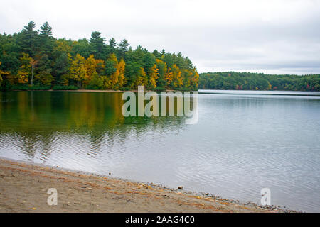 Walden Pond, un piccolo lago alberato sporting inizio autunno foglie colorate in concordia, Massachusetts Foto Stock