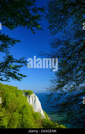 Kreidefelsen, Insel Ruegen, Mecklenburg-Vorpommern Foto Stock