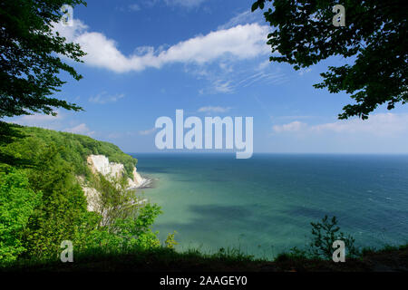 Kreidefelsen auf Ruegen, Meclenburgo-Pomerania Occidentale, Sassnitz, Foto Stock