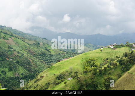 Andina paesaggio montuoso nel caffè colombiano zona Foto Stock