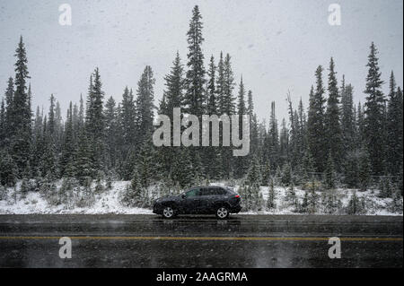 Nero Auto SUV in blizzard pesante parcheggiato sul ciglio della strada in pineta in campagna Foto Stock