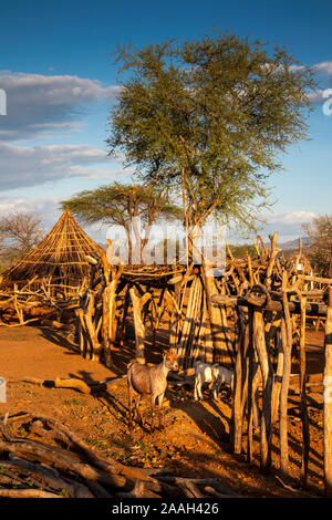 Etiopia, Sud Omo, Turmi, Hamar villaggio tribale, recinzione di legno al di fuori del tradizionale casa di legno con tetto di paglia Foto Stock