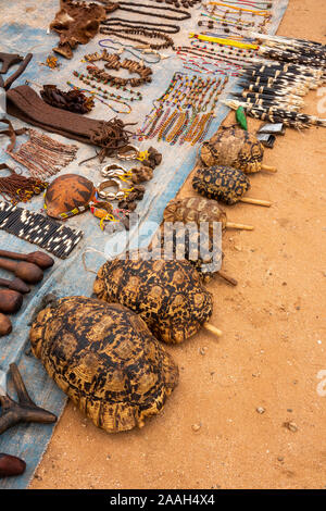 Etiopia, Sud Omo, Turmi, mercato settimanale, gusci di tartaruga per la vendita su souvenir turistici in stallo Foto Stock