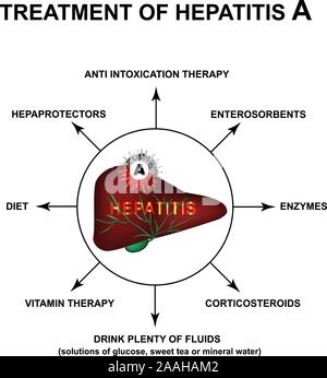 Il trattamento di epatite A. Giornata Mondiale Epatite. Infographics. Illustrazione Vettoriale su sfondo isolato. Illustrazione Vettoriale