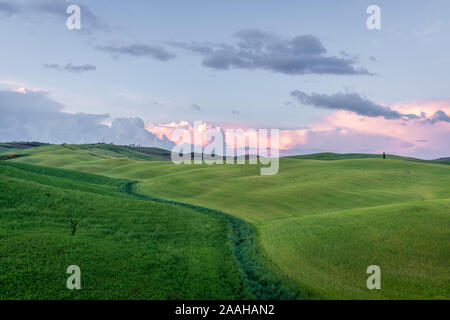 Bellissimi paesaggi di campagna in Toscana con dolci colline durante il tramonto Foto Stock