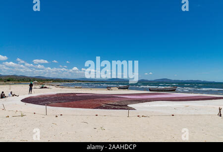 Rete da pesca disteso sulle rive del Lago Malawi Foto Stock