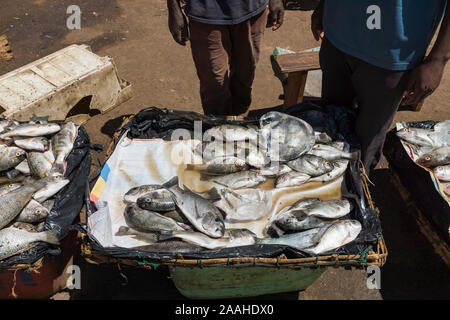 Stallo nel mercato di Mzuzu, Malawi, vendita di chambo (Oreochromis lidole) pescato nel lago Malawi Foto Stock