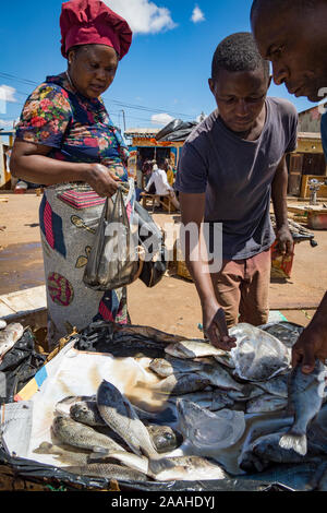 Una donna nel mercato Mzuzu, Malawi, acquista il pesce fresco pescato dal lago Malawi Foto Stock