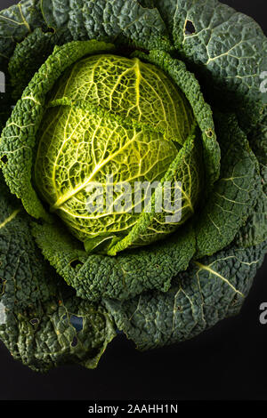 Cibo sano concetto closeup Verde biologico cavolo verza fresco dal giardino Foto Stock