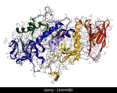 Alpha-Amylase, un enzima che idrolizza i polisaccaridi, quali amido e glicogeno in glucosio e maltosio. Foto Stock