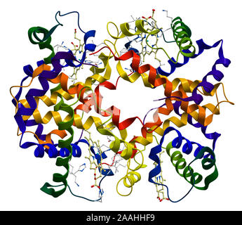 Molecola di emoglobina isolato su uno sfondo bianco Foto Stock