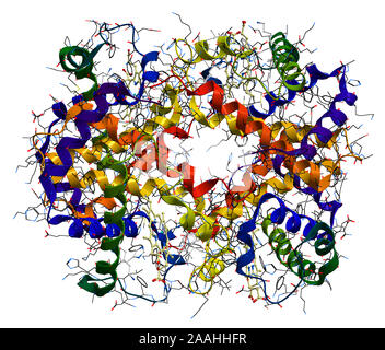 Molecola di emoglobina isolato su uno sfondo bianco Foto Stock