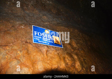 Close up di stalattiti rock formazione nel buio delle grotte di Cherrapunjee progetto ecologico conoscere noto come Sohra Altopiano di Meghalaya, Shillong, selezionare Foto Stock
