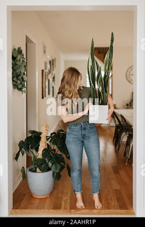 La donna che porta una grande pentola di pianta di casa Foto Stock