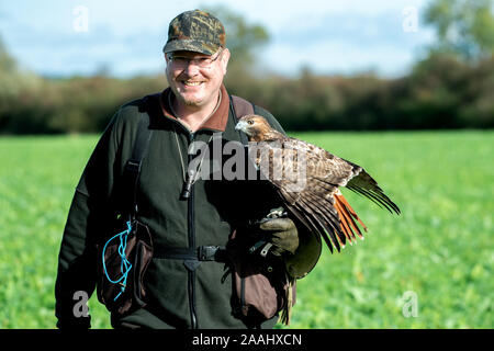 Liebenau, Germania. 26 ott 2019. Dirk Tepe, falconer da Alfhausen, attraversa un campo con la sua red-tailed poiana sul suo braccio. Con il cosiddetto Beizjagd del tedesco falcon-ordine (DFO) nel distretto amministrativo di Nienburg, falconieri andare nel quartiere con la sua presa-uccelli e a caccia di lepri, conigli e canta. Credito: Hauke-Christian Dittrich/dpa/Alamy Live News Foto Stock