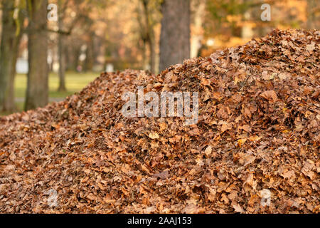 Closeup colpo di un grande mucchio di colore marrone di raccolte di foglie di autunno. Visto in Franconia / Baviera in Germania nel mese di novembre. Foto Stock