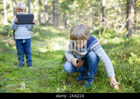 Toddler taking photograph of brother picking up wild mushrooms in forest Foto Stock