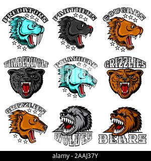 Bestia volto dalla vista laterale e frontale con denti nuda. Panther, cougar; orso, lupo, polarbear, grizzly, predator. Logo per qualsiasi sport squadre isolato Illustrazione Vettoriale