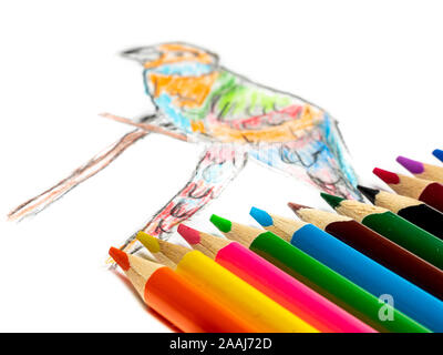 Dipinto a mano parrot con matite colorate Foto Stock