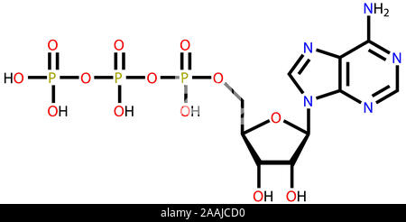 L'adenosina trifosfato (ATP) formula strutturale Foto Stock