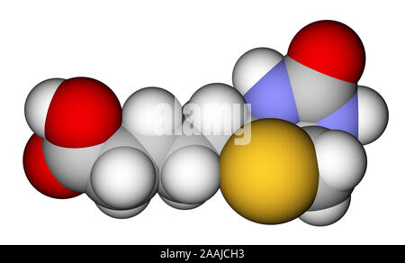 La biotina (vitamina H o B7) 3D modello molecolare Foto Stock