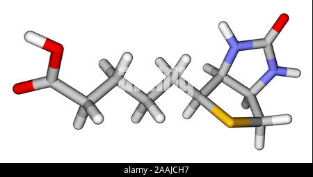 La biotina (vitamina H o B7) 3D modello molecolare Foto Stock