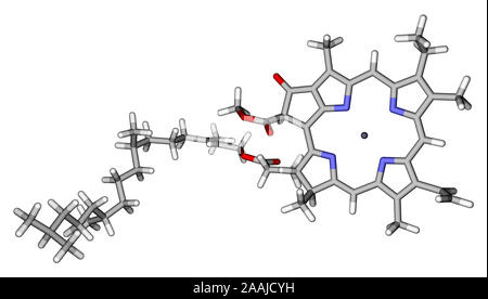 La clorofilla A bastoni modello molecolare Foto Stock