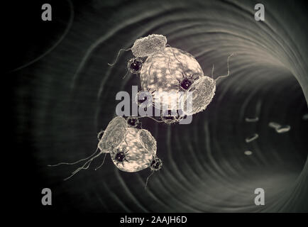 Sistema immunitario umano l'attacco di virus, virus, cellule bianche del sangue all'interno del vaso sanguigno, globuli rossi e bianchi in arteria Foto Stock