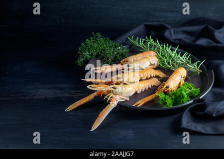 Scampi freschi, chiamato anche Scampo o langoustine, alle erbe su una piastra su un blu scuro dello sfondo in legno, costoso pasto a base di pesce per una festosa Foto Stock