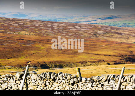 Guardando verso il distretto del lago dalla Bowland Knotts nella foresta di Bowland, oltre la brughiera managed fro grouse con patch di masterizzazione che crea Foto Stock