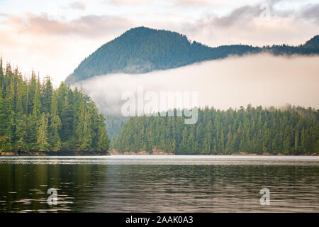 Clayoquot Sound deserto paesaggio, Tofino, British Columbia, Canada Foto Stock