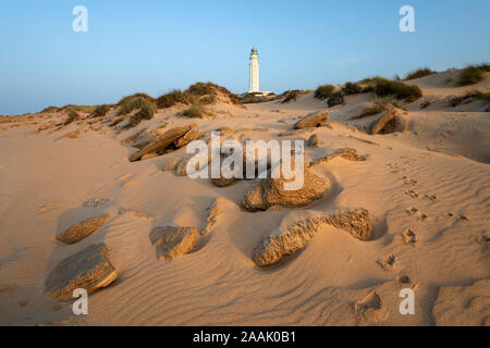 Capo Trafalgar faro tra le dune di sabbia a Caños de Meca, Costa de la Luz, la provincia di Cadiz Cadice, Andalusia, Spagna, Europa Foto Stock