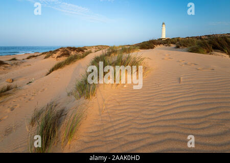 Capo Trafalgar faro tra le dune di sabbia a Caños de Meca, Costa de la Luz, la provincia di Cadiz Cadice, Andalusia, Spagna, Europa Foto Stock