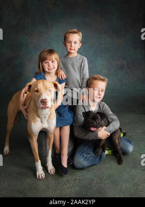 Ritratto in studio di Labrador e Pug con bambini Foto Stock